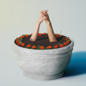 ass鲜嫩小泬pics高清
